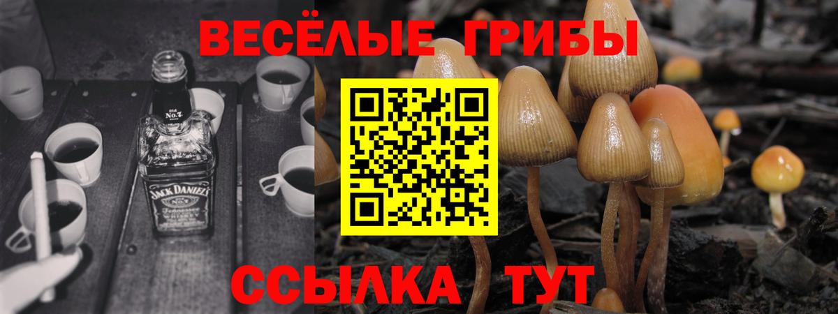 Елизово  Псилоцибиновые грибы Magic Shrooms  Вход с VPN 